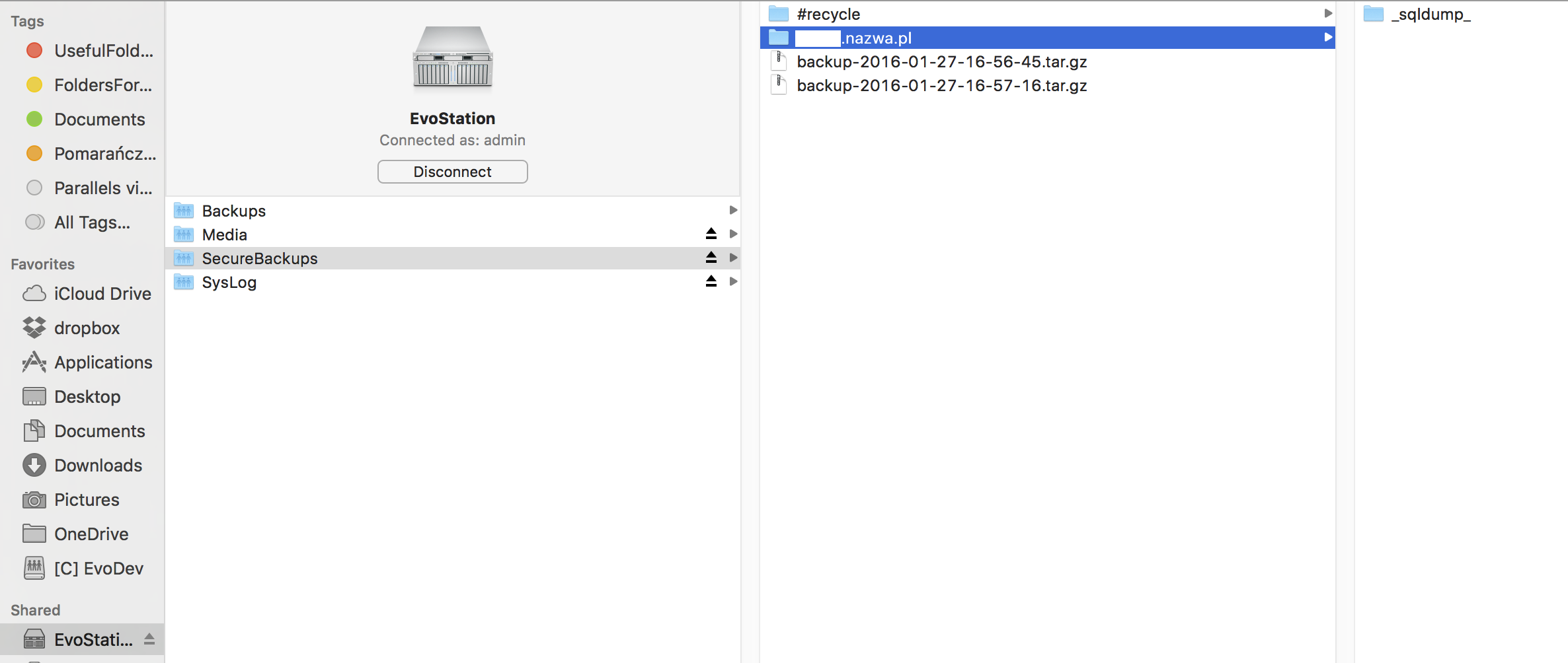 Struktura folderow z backupem FTP utworzona na udziale Synology