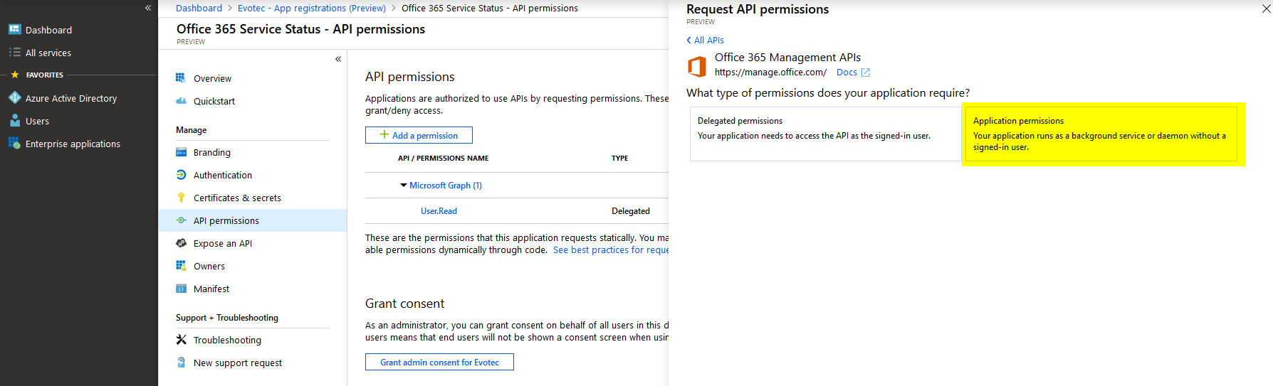 Ekran API permissions z wybranymi Application permissions