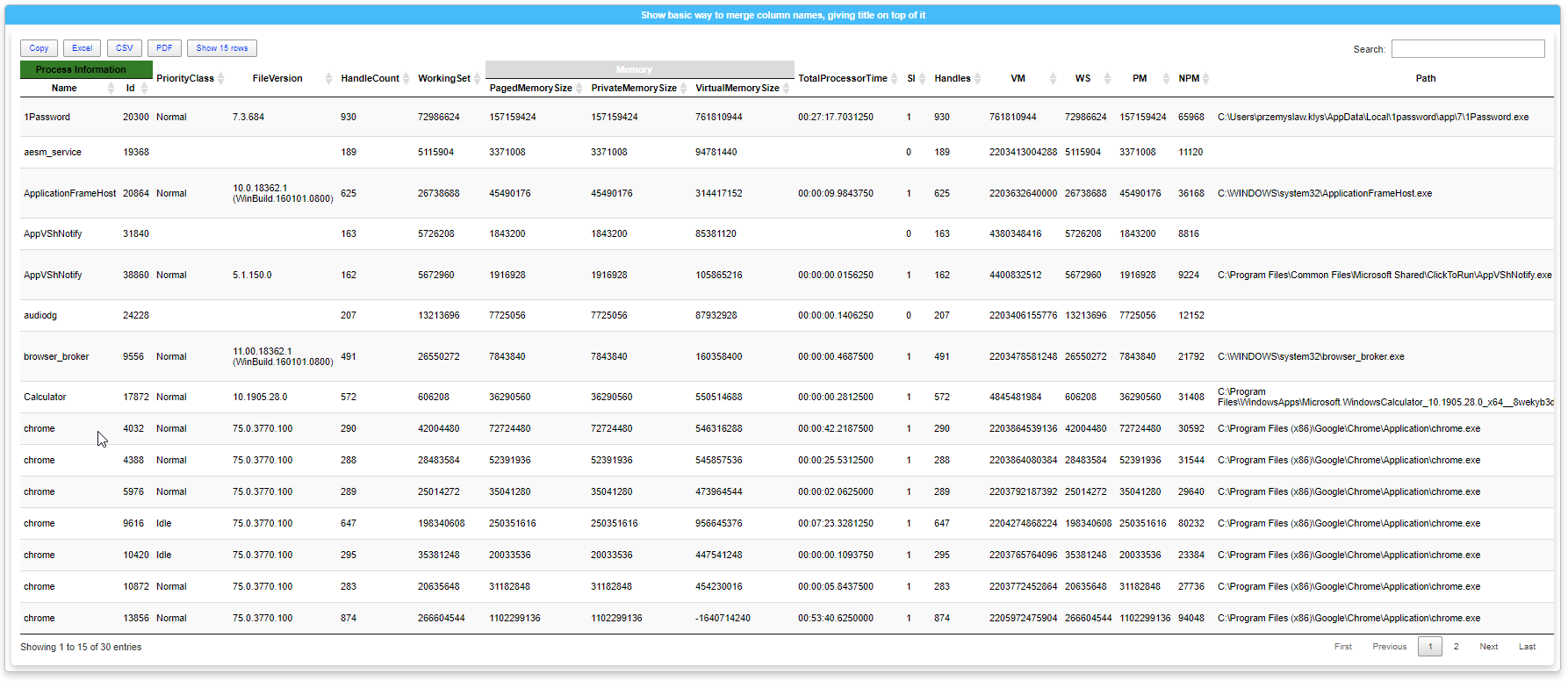 Tabela procesów z kolorowymi połączonymi nagłówkami Process Information i Memory