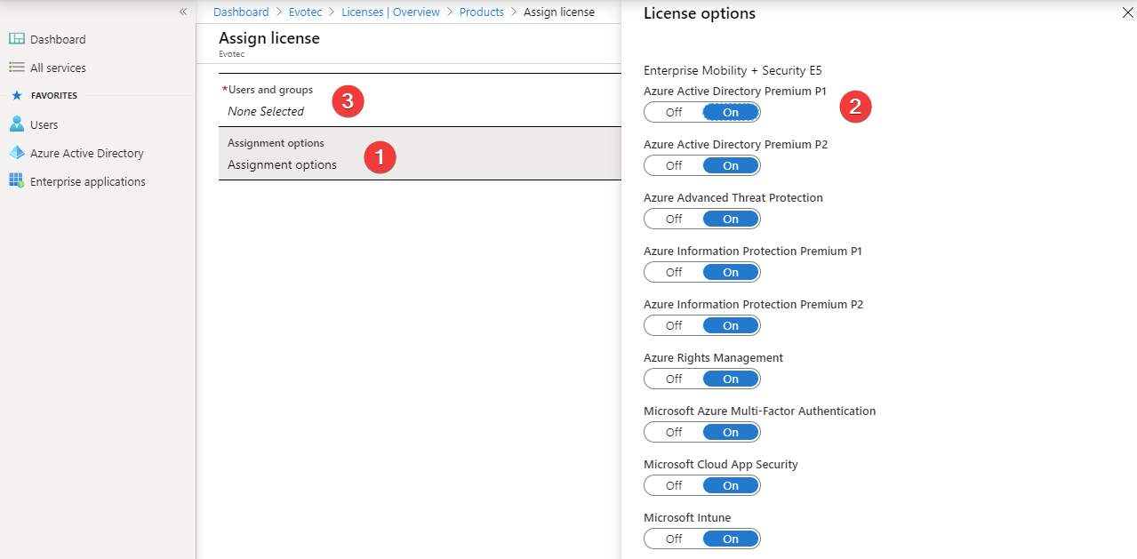 Ekran Assignment options w Azure AD do wlaczenia tylko wymaganych aplikacji licencyjnych